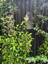 Load image into Gallery viewer, #5741 Iron collection - VINTAGE original pot selection
